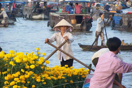Cruises, Sailing & Water Tours