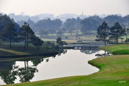 Golf Tours & Tee Times