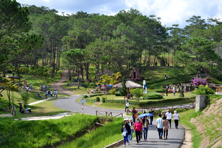 Walking Tours