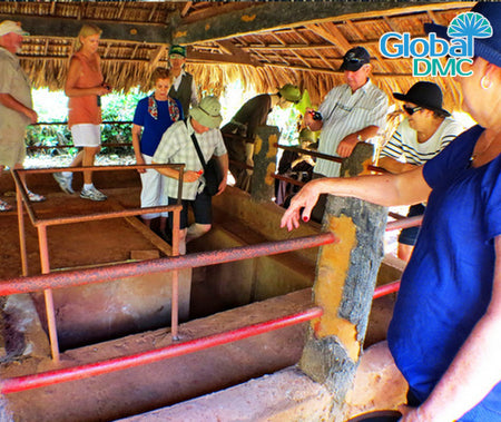 Historical & Heritage Tours