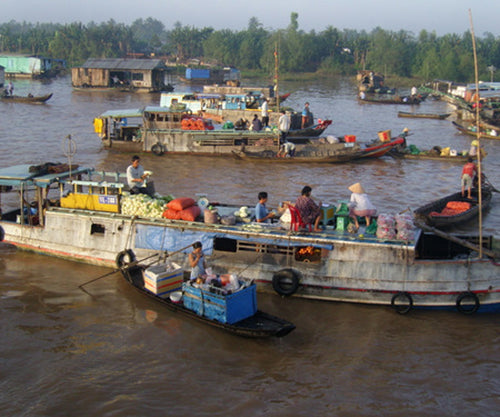 MEKONG DELTA - HOMESTAY EXPERIENCE