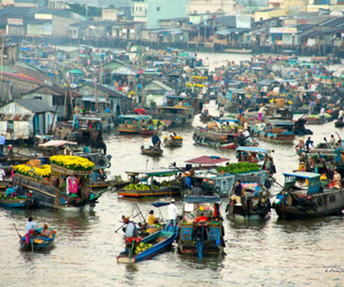 IMMERSE IN MEKONG DELTA