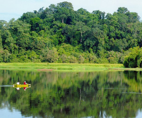 CAT TIEN NATIONAL PARK