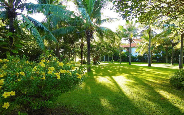 Facilities Furama Resort Danang