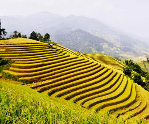 AMAZING NORTHERN VIETNAM 'S MOUNTAINS