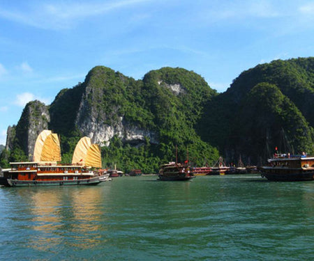 All Tours Viet Nam