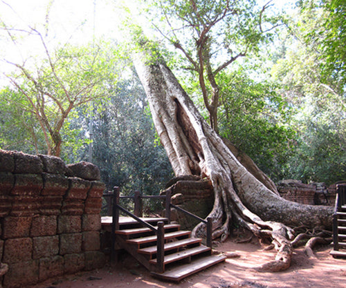 HALF DAY TOUR TONLE BATI AND TA PROHM